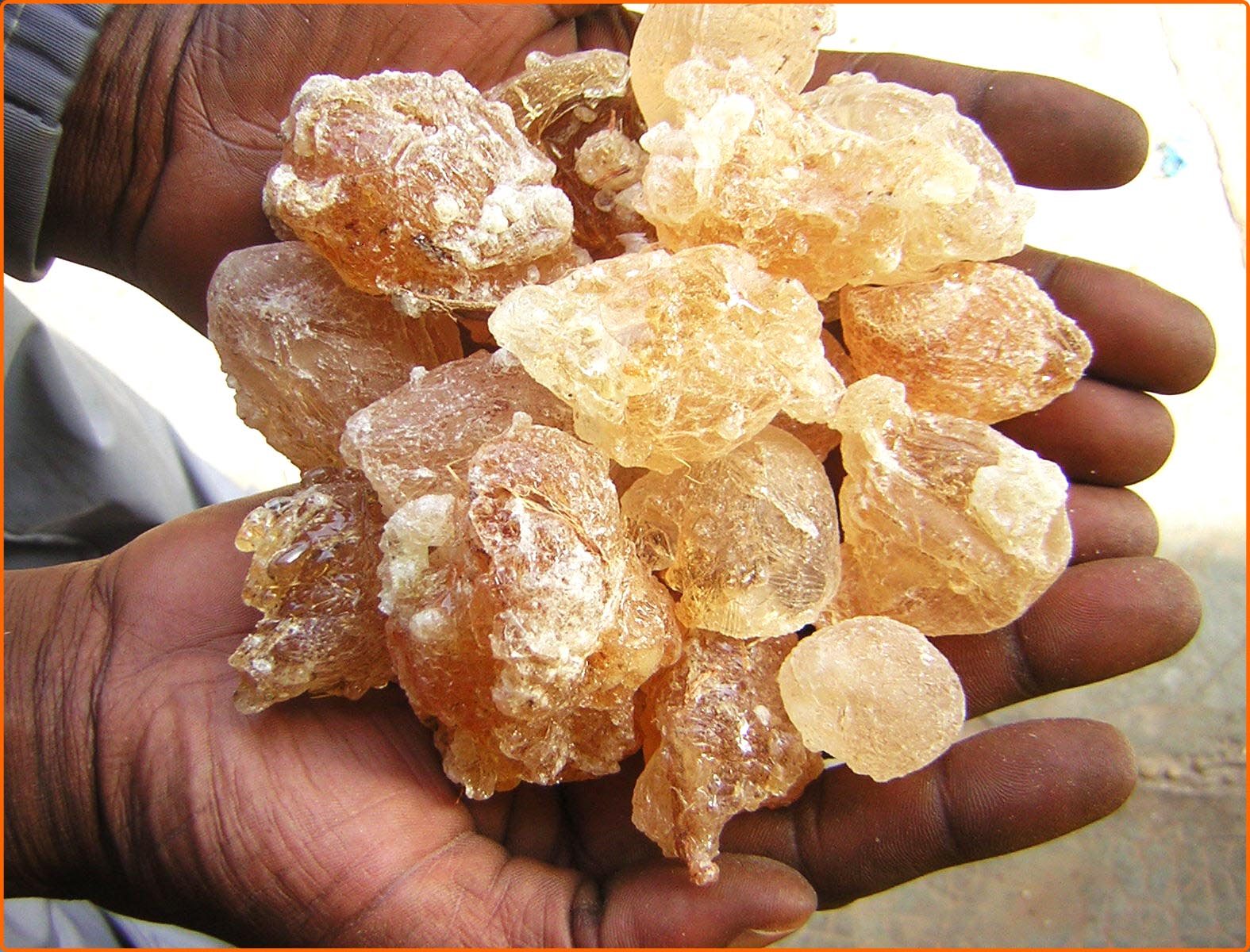 Cleaned Gum Arabic in Niger