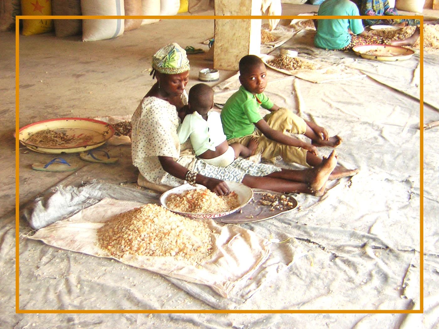 Woman and children cleaning Gum Arabic in Niger