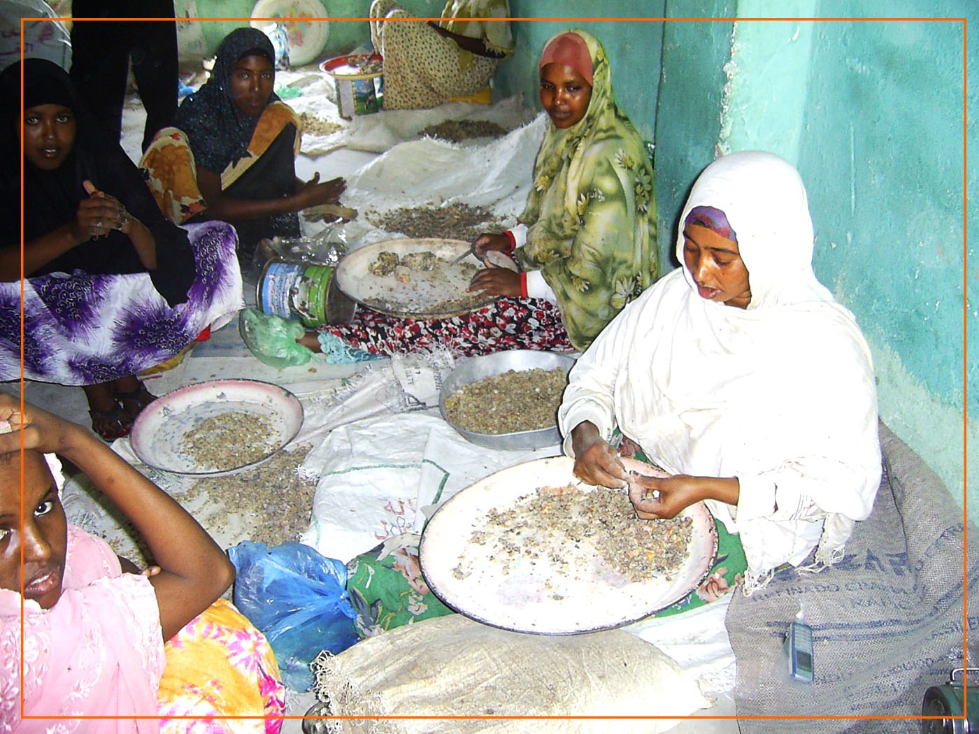 Women cleaning Gum Arabic in Somali land